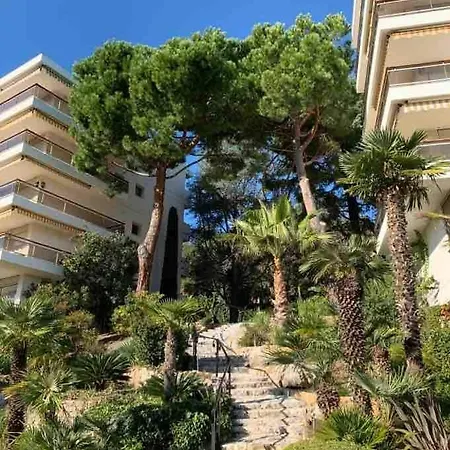 D & D Super Cannes Vallauris
